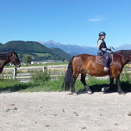 Tiefenthaler 3*